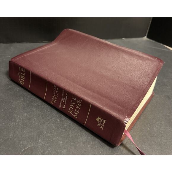 Everyday Life Bible Amplified 2006 Bonded Leather Joyce Meyer Notes Commentary - Picture 1 of 8